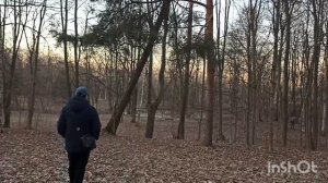 Боря Купчин-Crazy(в Сосновой ПоЛяНе)