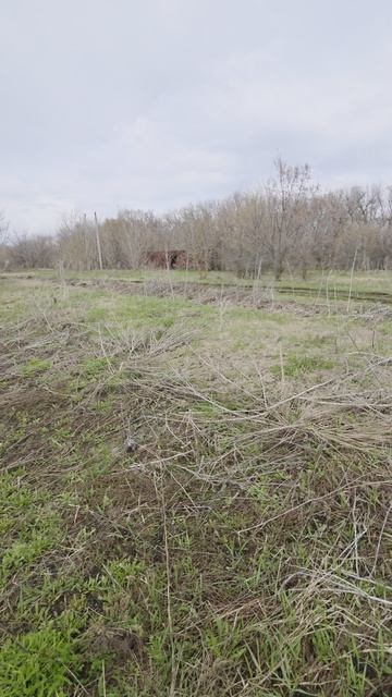 Саратовская область Романовский район  р.п. Романовка ул. Строителей  2 В