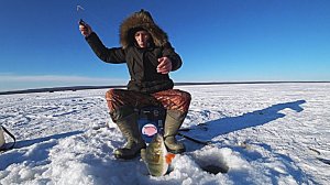 РЫБАЛКА НА ОКУНЯ ЗИМОЙ.