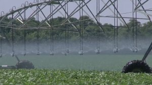 Развитие мелиорации в России обсудили в Думе Ставрополья