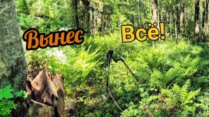 Зачищаю поляну от металлолома! коп металлолома