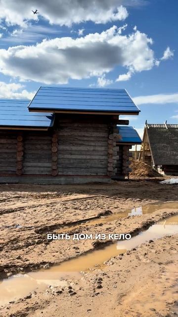📍Баня-землянка с травяной крышей #kelo #соснакело #отделкаизкело