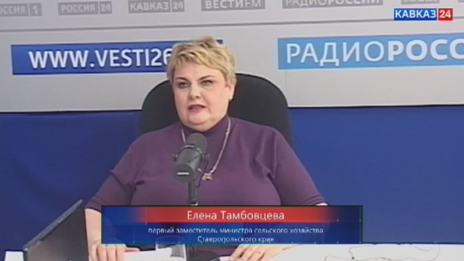 На какой урожай зерновых рассчитывают в этом году ставропольские аграрии