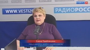 На какой урожай зерновых рассчитывают в этом году ставропольские аграрии