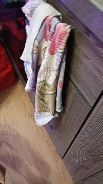 черепаха и попугай