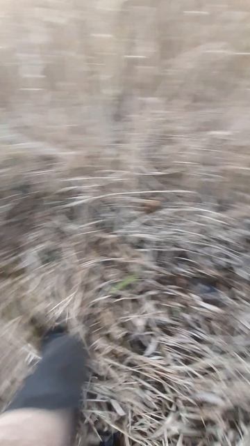 Заход на Озеро