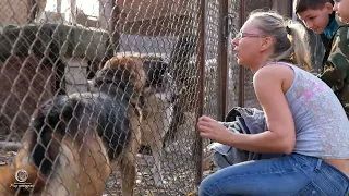 Мир молодежи в гостях у Приюта Академгородка