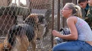 Мир молодежи в гостях у Приюта Академгородка