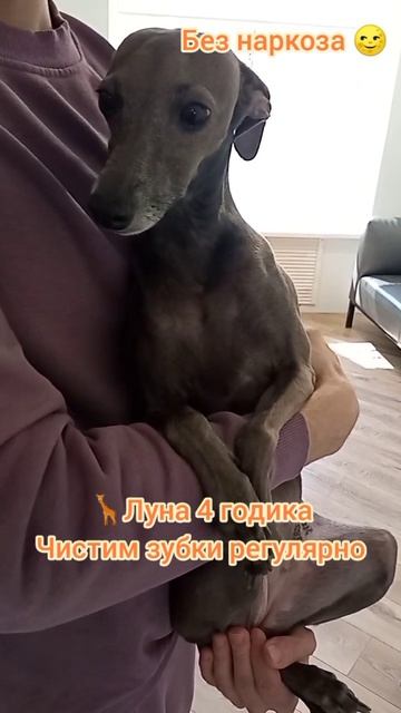 Луна 4 годика, Зубки чистим регулярно.