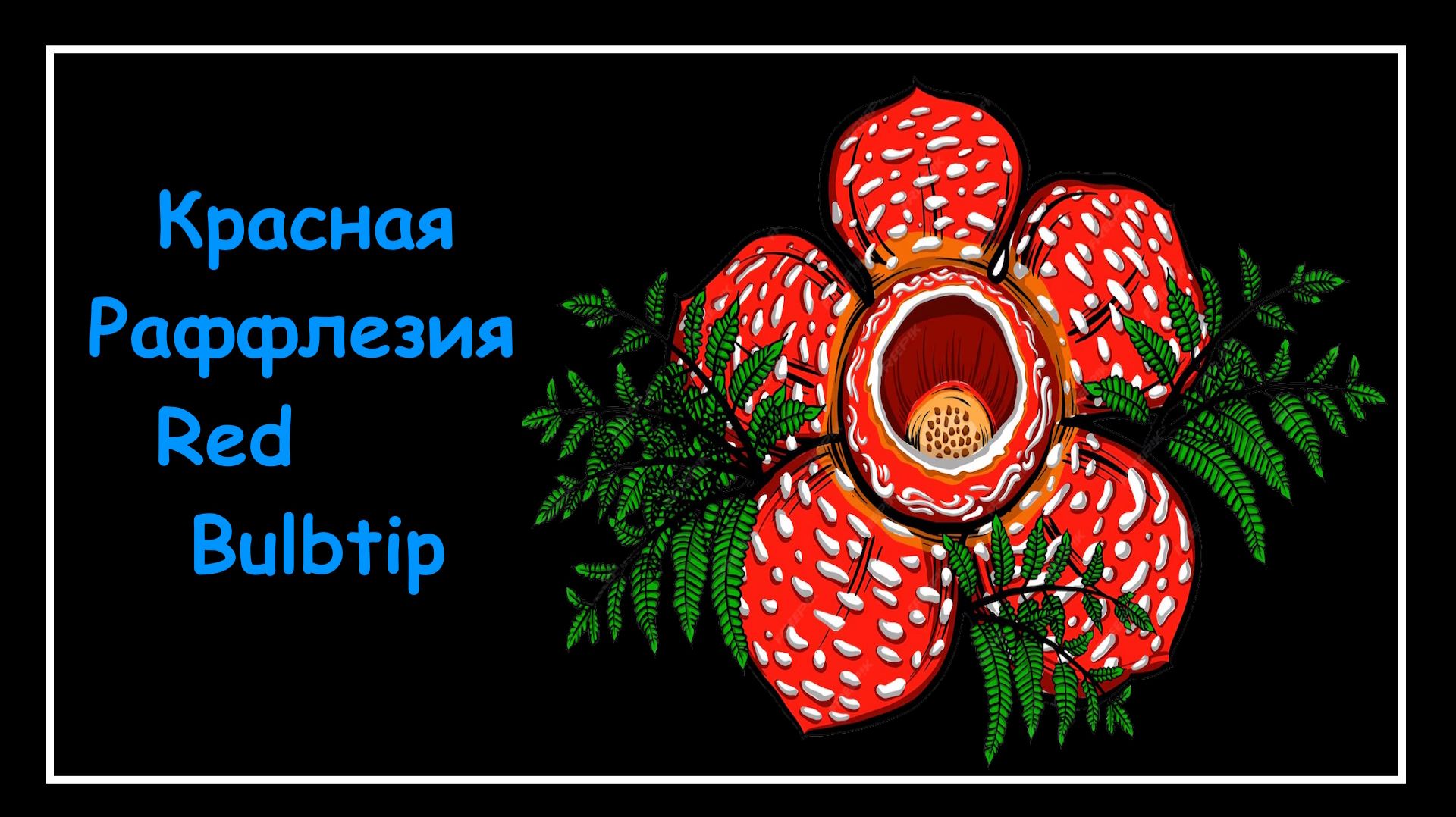 Mortal Online 2 ● Красная Раффлезия - Red Bulbtip L Мини - Гайды
