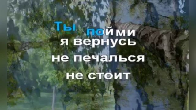 «Отчего так в России берёзы шумят…», группа Любе, 2002г.