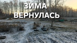 Жизнь в деревне Неожиданно вернулись морозы Смородина даже подмерзла