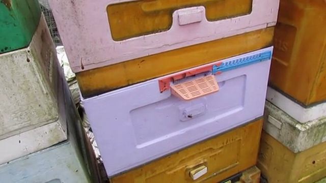 весенние работы на пасеке - ставлю магазин под мед по новой методике, 16.04.2026