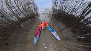 Лесопарк 11.04.2026