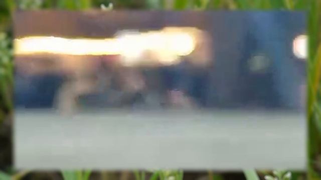 Наурыз_2026_Приозерск