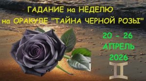БЛИЗНЕЦЫ: ГАДАНИЕ на НЕДЕЛЮ с 20 по 26 АПРЕЛЯ 2026 года на Оракуле "ТАЙНА ЧЕРНОЙ РОЗЫ"!!!