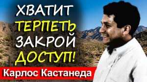 Тебя выпивают до дна. Как стать «невидимым» для токсичных людей | Кастанеда