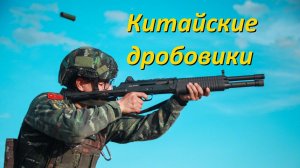 Стрелковое оружие Китая: гладкоствольные ружья (дробовики)