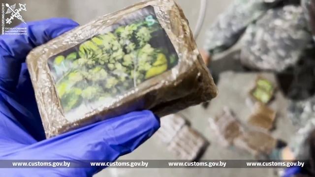 Почти полторы тонны наркотиков задержали на таможне