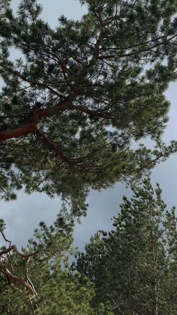 Процесс строительства поселка бизнес-класса Опера парк