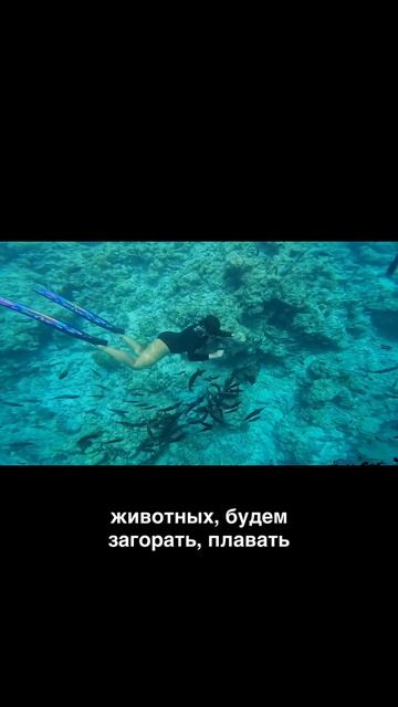 Вылет уже 8 мая. Кто спонтанно летит с нами на Мальдивы?