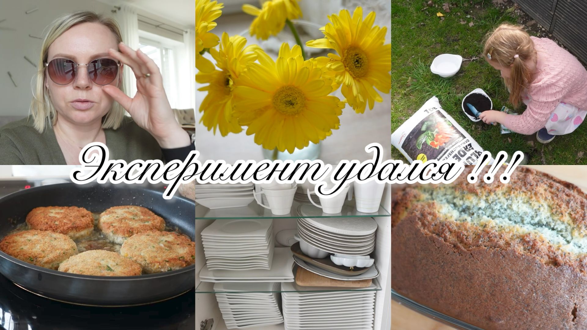 VLOG🇩🇪: ЭКСПЕРИМЕНТ УДАЧНЫЙ🌺КУСТЫ НЕ РАСТУТ😞НОВЫЕ ОЧКИ 🤓 УБИРАЮ в ШКАФАХ