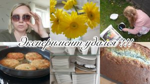 VLOG🇩🇪: ЭКСПЕРИМЕНТ УДАЧНЫЙ🌺КУСТЫ НЕ РАСТУТ😞НОВЫЕ ОЧКИ 🤓 УБИРАЮ в ШКАФАХ