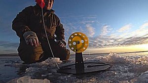 Рыбалка на щуку зимой: установка жерлиц и клёв