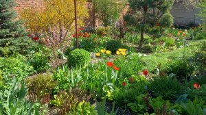 17-04-2026 ВЛОГ ПОДАРОК СЧАСТЛИВЫЙ САД  ПОКУПКИ ВЯЖУ КОРЗИНУ ДЛЯ ТЕМЫ