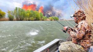 РЫБАЛКА ЖЕСТЬ! НО РЫБУ НАЛОВИЛ! РЫБАЛКА НА САЗАНА. Пожар, шторм, дождь. Копчёная рыба.