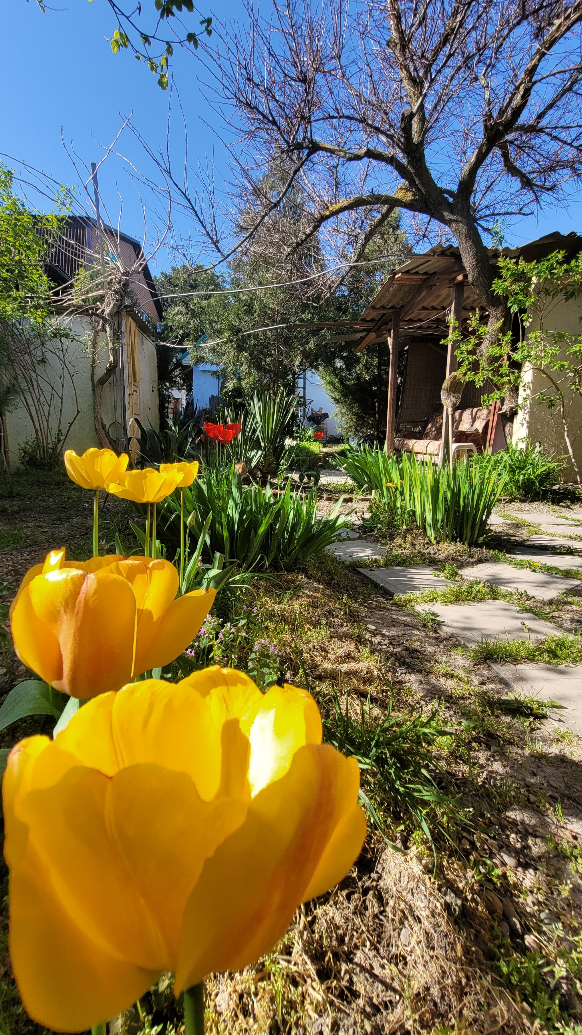 Райская жизнь в деревне   Голубицкая 17.04.2026  DerevenskiyZakolhoz