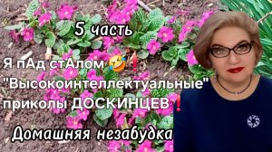 5 часть. "Высокоинтеллектуальные" приколы ДОСКИНЦЕВ❗️Я пАд стАлом🤣❗️