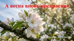 А весна вновь прекрасная (Не грусти, не рыдай) #христианскоепрославление #новаяхристианскаяпесня