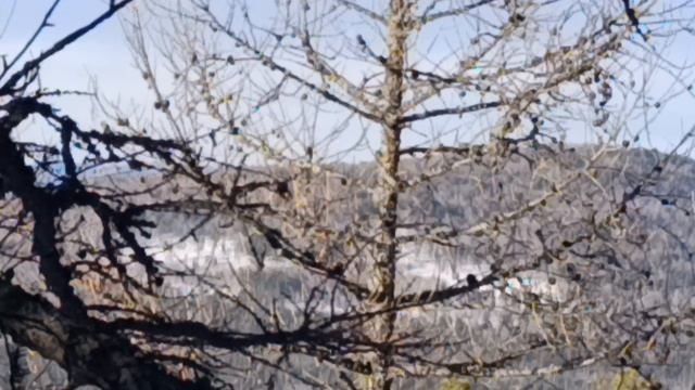 3. Гора Ближняя Широкая с телевышкой 898 метров. 24 февраля 2026 года.