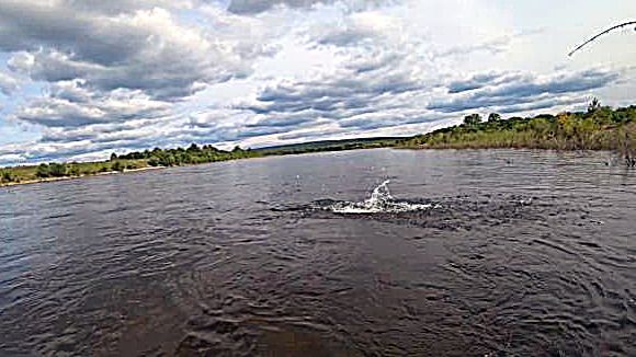 Рыбалка на реке Витим.