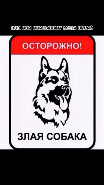 артикул в описании 