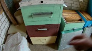 Защита рамок с мёдом и пергой от моли