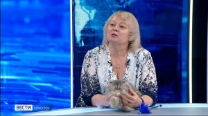 Гость студии — председатель клуба любителей кошек «Камея» Ольга Афанасьева