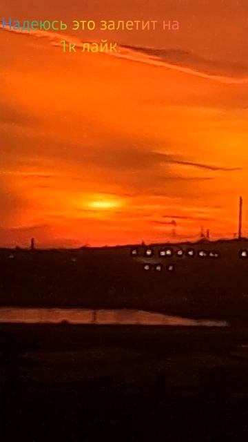 Популярное