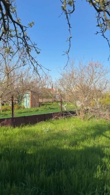 снт Залив, 12 соток