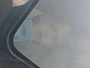 Кот кот поймал рыбу