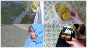 Мороз. Рыбные котлеты. Освободила холодильник