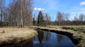 Народный праздник 18 апреля — Федул Ветреник: история, традиции, приметы