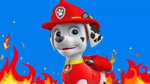 ЩЕНЯЧИЙ ПАТРУЛЬ - Игровой мультик для детей