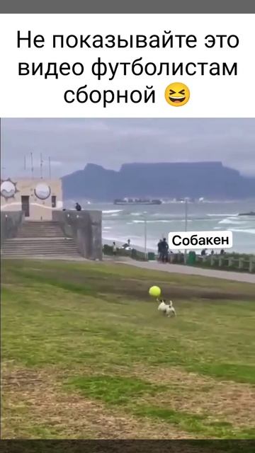 Это вам не Какорин с Мамаевым