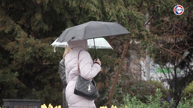 На выходных ожидается похолодание и дожди