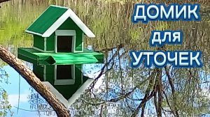 Пение птиц.В ручей смотрятся облака. Домик для уток на плаву на ручье.Черемуха