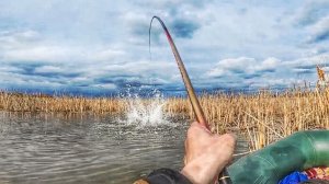 ВОТ ЭТО ЗВЕРЮГА!!! Ловля сазана и карася на поплавок. Рыбалка на поплавок 2026.