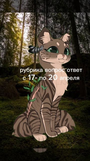 рубрика вопрос ответ