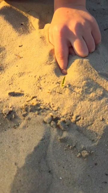 цените время 